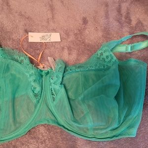 Playful Promises bra